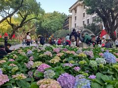 -广州白天鹅宾馆