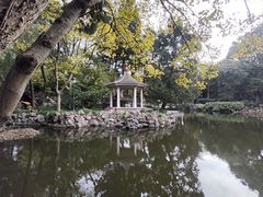 -叶家花园