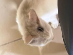 -周知饮食店(大朗店)