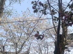 -龙华寺