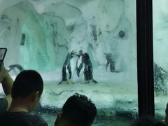 -南昌海洋公园