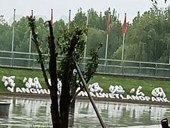 -洋湖国家湿地公园