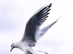 -滇池海埂公园
