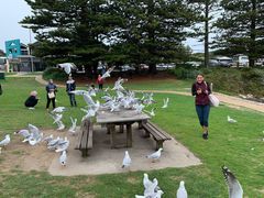 -12 Rocks Beach Bar Cafe