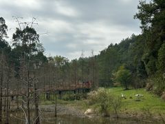 -神光山国家森林公园