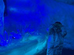 -海合安武汉极地海洋公园