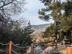 -沂蒙山旅游区云蒙景区(蒙山国家森林公园)