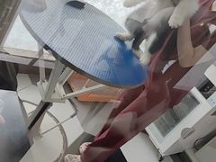 -瑞鹏宠物医院