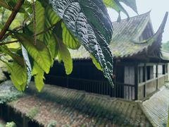 -青城山