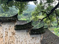 -杨家堂村