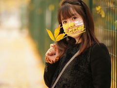 -三里屯东五街银杏大道