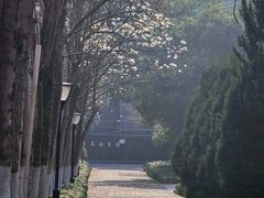 -浙江大学(玉泉校区)