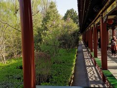 -迎泽公园