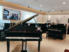 -雅歌音乐培训中心·钢琴培训·乐器培训(交道口店)