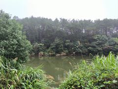 -青龙山国家森林公园