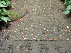 -三块石国家森林公园