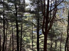 -苍山感通索道
