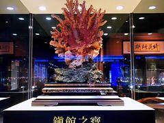 -绮丽珊瑚博物馆(台东店)