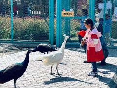 -水上乐园·欢乐世界