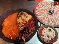 -朱光玉火锅馆(龙阳广场店)
