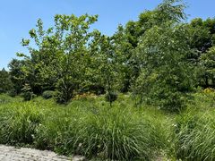 -上海浦江郊野公园-5号停车场