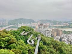 -福道