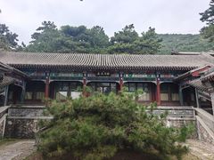 -香山公园