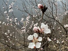 -青龙山生态文化旅游区