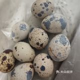 颜值很高的▶虎皮鹌鹑蛋◀甜甜咸咸就是他