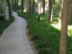 -西郊宾馆·1921餐厅