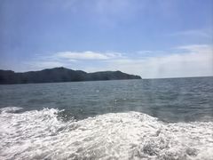 -大鹿岛