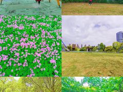 -白塘生态植物园