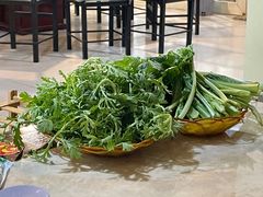 -蘑统田下·野生菌火锅