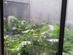 -大芬美术馆