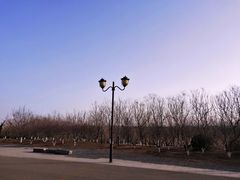 -永定河休闲森林公园