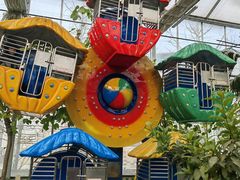 -南宫五洲植物乐园