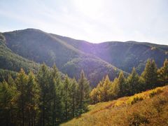 -苏木山森林公园