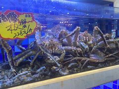 -渔家海鲜舫(宝湖路店)