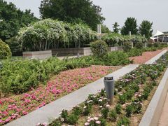 -石家庄市植物园