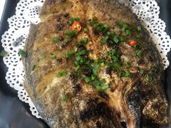 -九府羊·鲜羊火锅·烤串(新华路店)