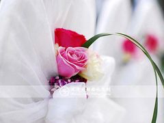 -上海安亭别墅花园酒店