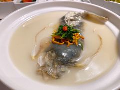 养颜白汁河豚-肆月河豚·新淮扬(金融街店)