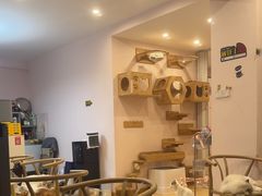 -猫咪派对(江南西店)