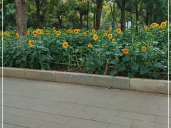 -仙岳公园