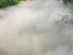 -龙潭水乡
