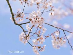 -永乐路-路侧停车场