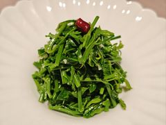炝拌辣木苗-新荣记(南京西路店)