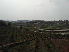 -球溪高级中学