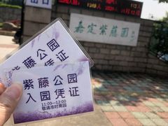 -嘉定紫藤园