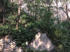 -大岭沟猕猴桃谷风景区
